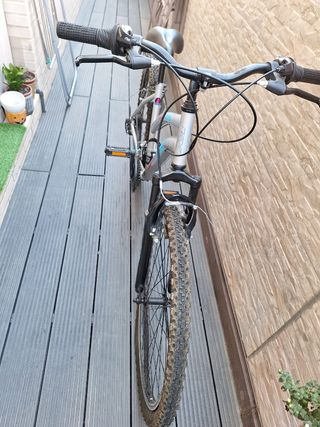 Bicicleta montaña KX de color aluminio