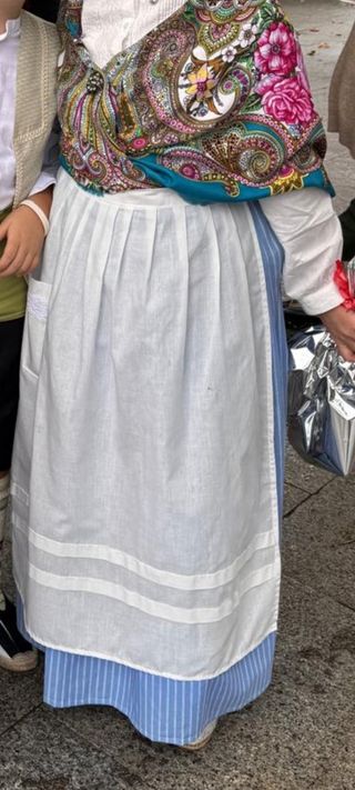 Falda y delantal baturra 
