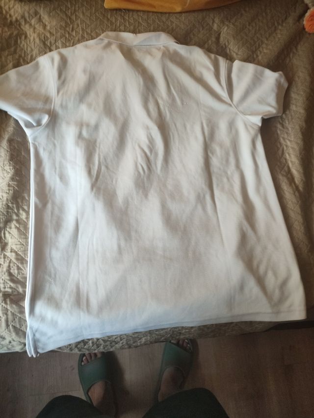 Polo Deportivo club Vigo voleibol