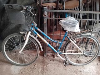 Bicicleta mujer