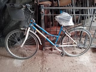 Bicicleta mujer