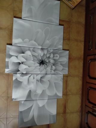 Cuadro 5 piezas - Flores grises