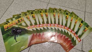 RBA Insetti da tutto il mondo