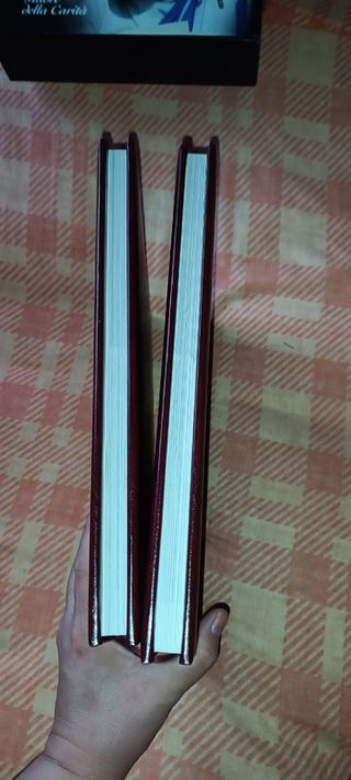 Madre Teresa di Calcutta - Madre della Carità