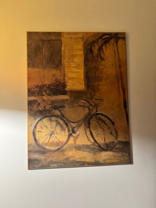 Cuadros bicicletas vintage