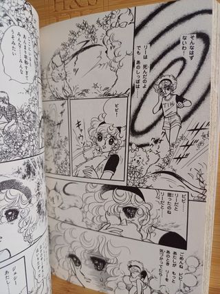 Tim Tim Circus. "Kitty la stella del circo”