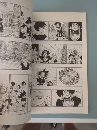 Dragon Ball 58