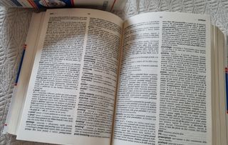 L'inglese dell'economia. Dizionario economico