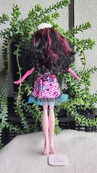 Bambola Monster High draculaura