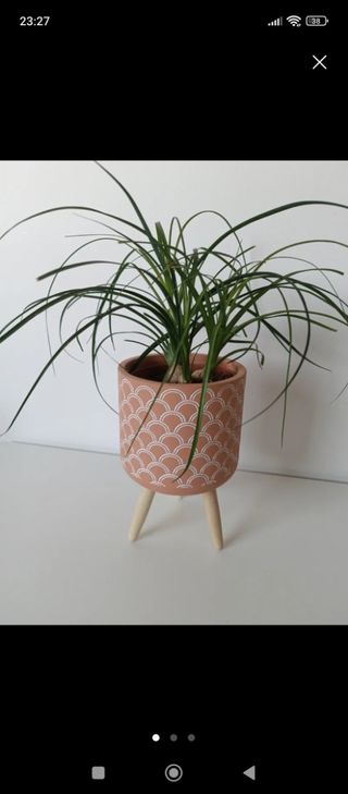 Maceta Terracota con Soporte