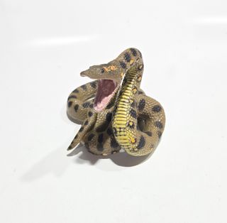  Anaconda Collecta 