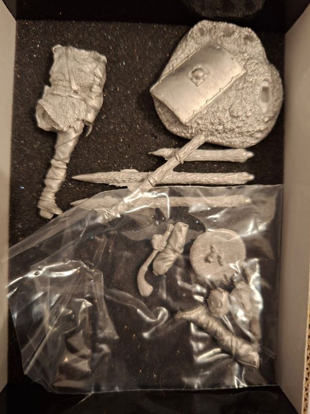 Soldatino Masterclass Guerriero Germanico