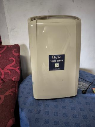 Deshumidificador DeLonghi Pingüino 10500 BTU