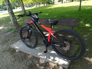 Bicicleta eléctrica montaña