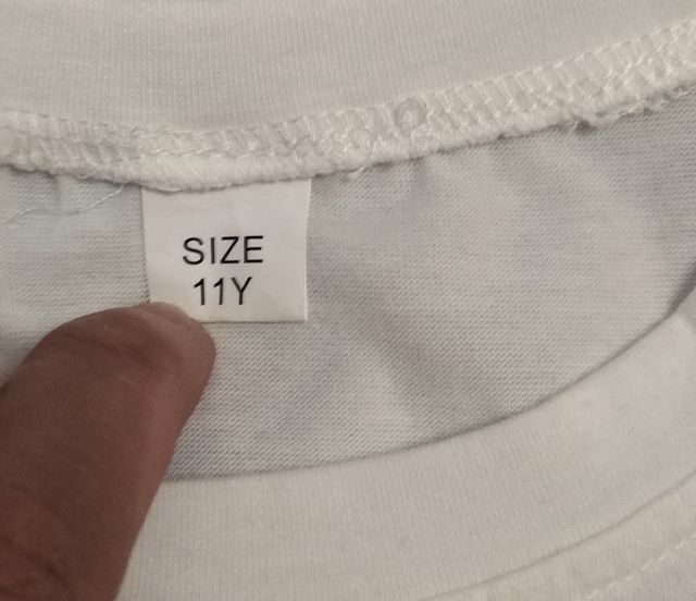 Camiseta Disney Trip 2025