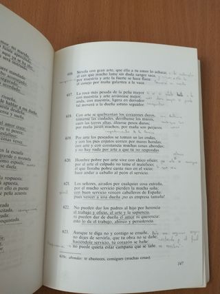 Libro de buen amor (Clásicos modernizados) 