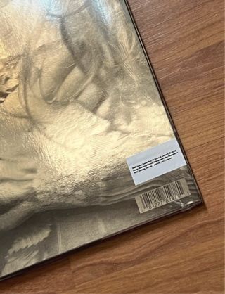 Madonna Veronica Electronica LP Silver precintado