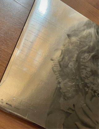 Madonna Veronica Electronica LP Silver precintado