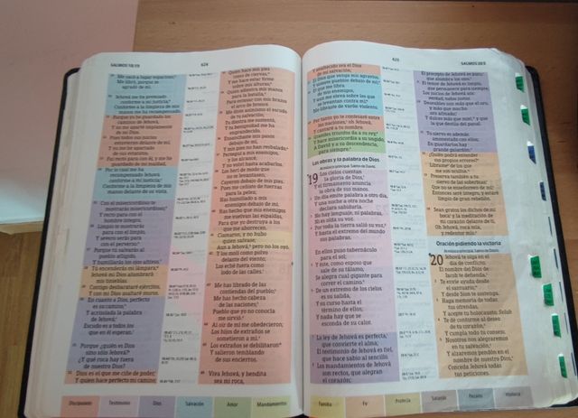 RVR 1960 Biblia de Estudio Arco Iris, negro imi...