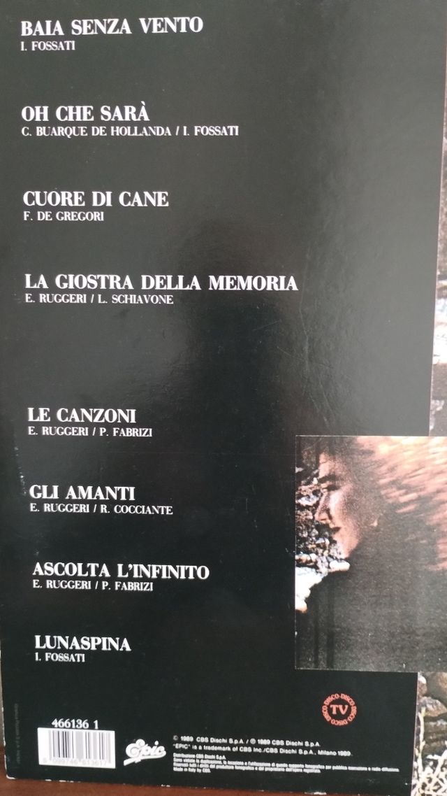 LP Fiorella Mannoia - Di terra e vento