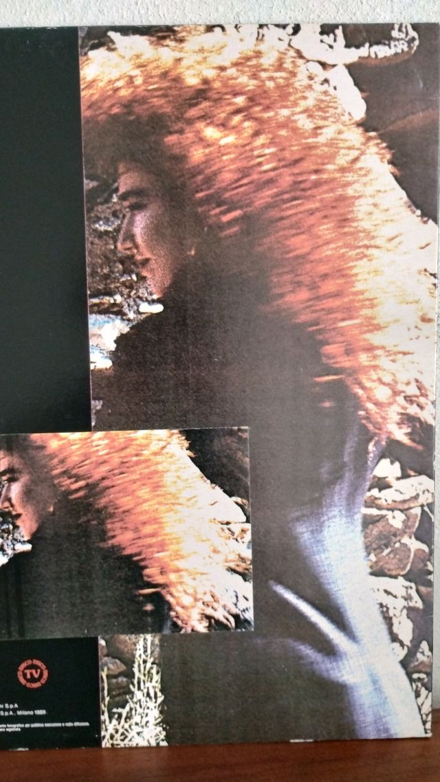 LP Fiorella Mannoia - Di terra e vento