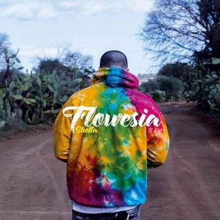 Shotta - Flowesia (2LP)