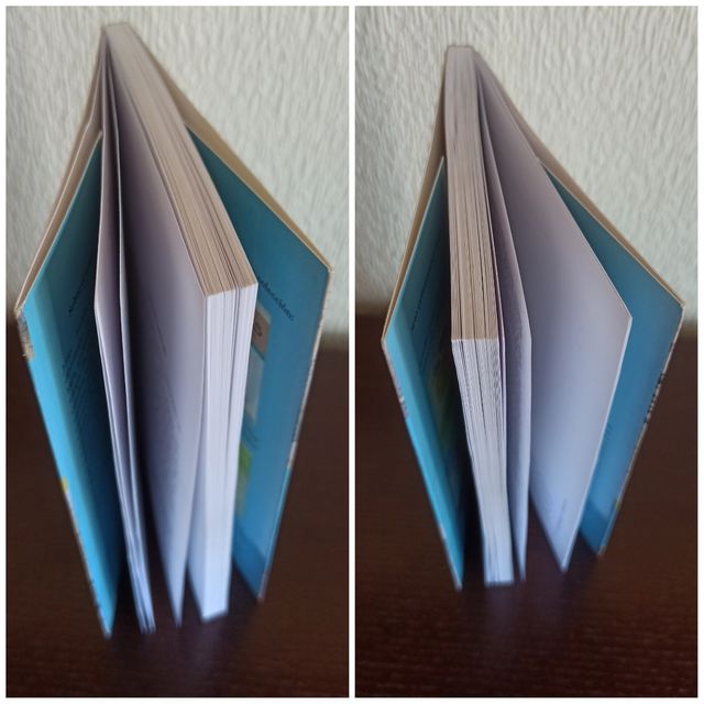 Escritura y Personalidad (Spanish Edition)