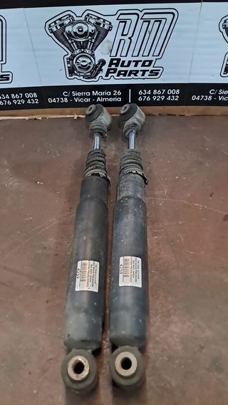 Amortiguadores Traseros Peugeot 207