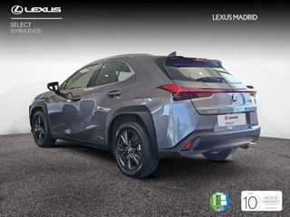 Lexus UX 2.0 250h Business