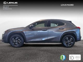 Lexus UX 2.0 250h Business