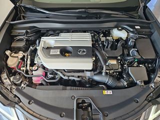 Lexus UX 2.0 250h Business