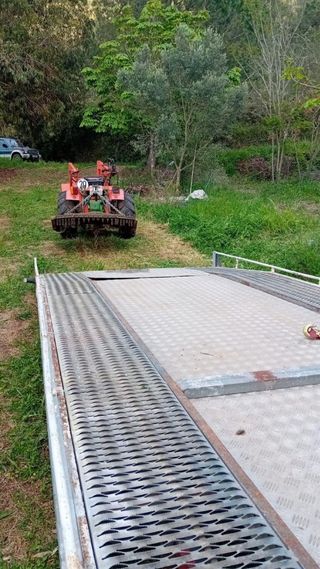 Remolque plataforma coche.