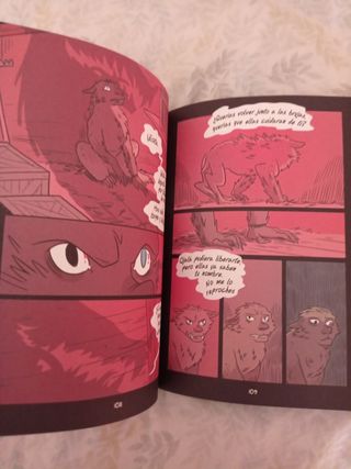 El niño brujo (The Witch Boy - Spanish edition)