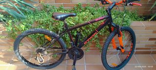 Bicicleta 24"
