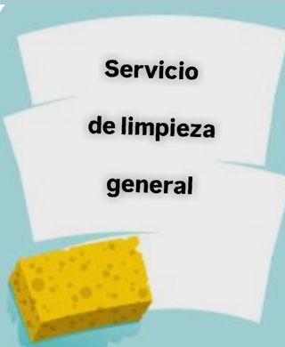 Limpieza general