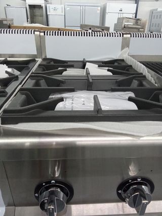 Cocina industrial de gas - 2 fuego