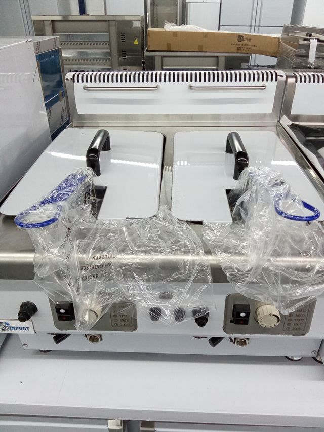 Freidora industrial doble