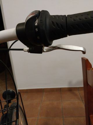 Bicicleta Lombardo paseo