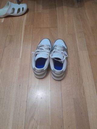 Nike Dunk plateadas y blancas