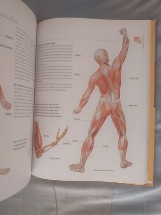 CURSO COMPLETO DE DIBUJO Y PINTURA