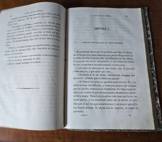 Libro Antiguo: La Aldea de San Lorenzo (1873)