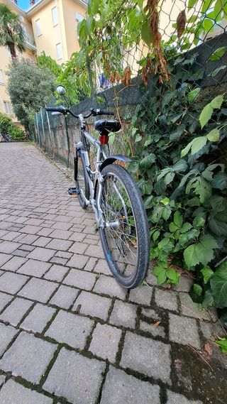 Bicicletta trekking 