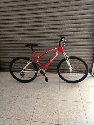 Bicicleta montaña 100S