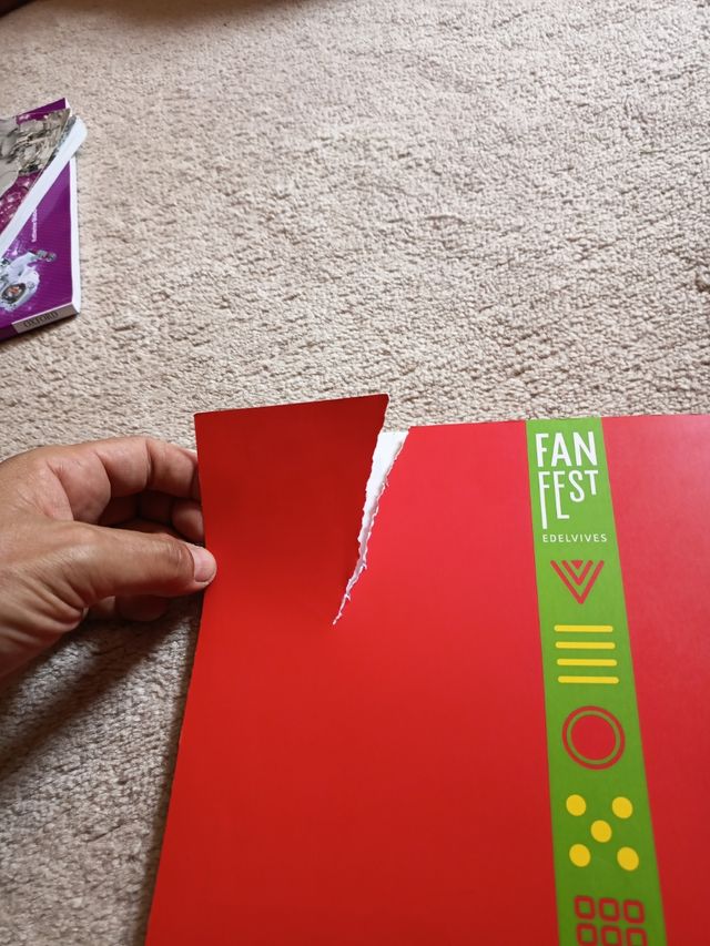 Proyecto: FanFest. Religión católica 5