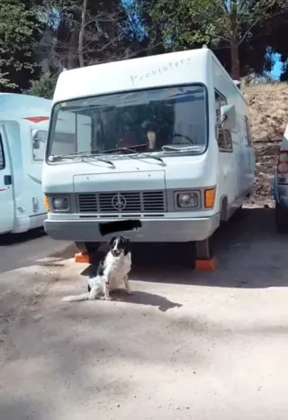 Mercedes-Benz daimler 1982