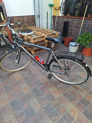 Bicicleta paseo DBS Gris