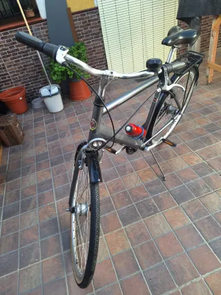 Bicicleta paseo DBS Gris