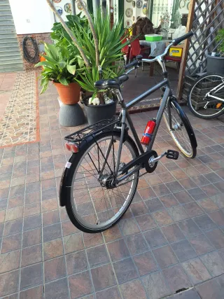 Bicicleta paseo DBS Gris