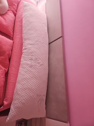 Almohada Aloe Vera - copos