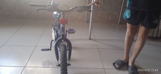 Bicicleta Infantil